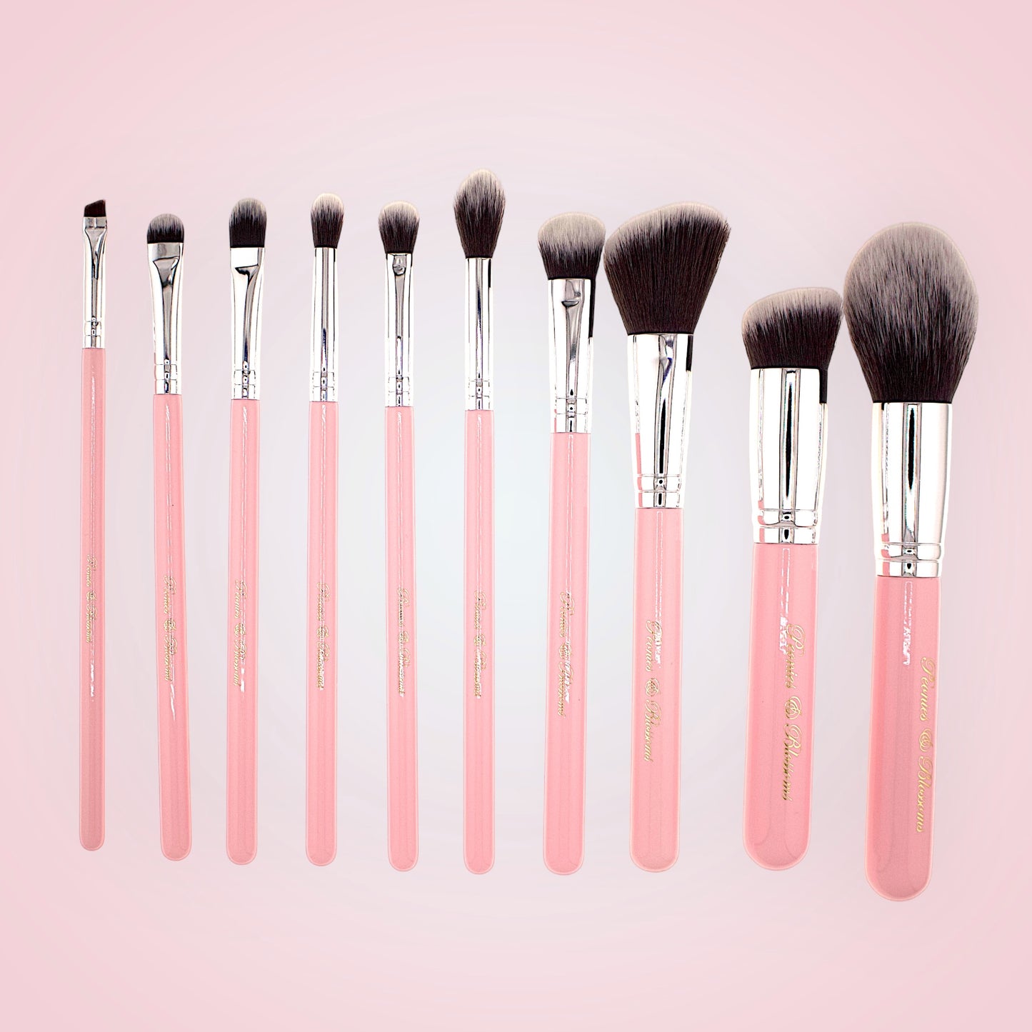 “Not So Basic” Must have 10 piece brush set